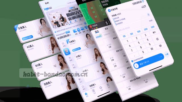 流程图：输入→处理→输出→反馈